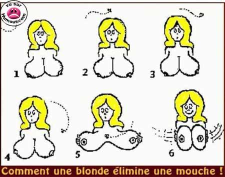 blonde écrase mouche