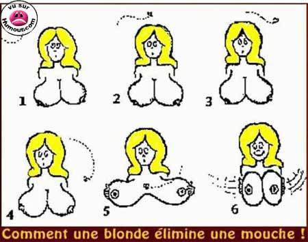 322695blonde_mouche.jpg