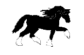 cheval noir